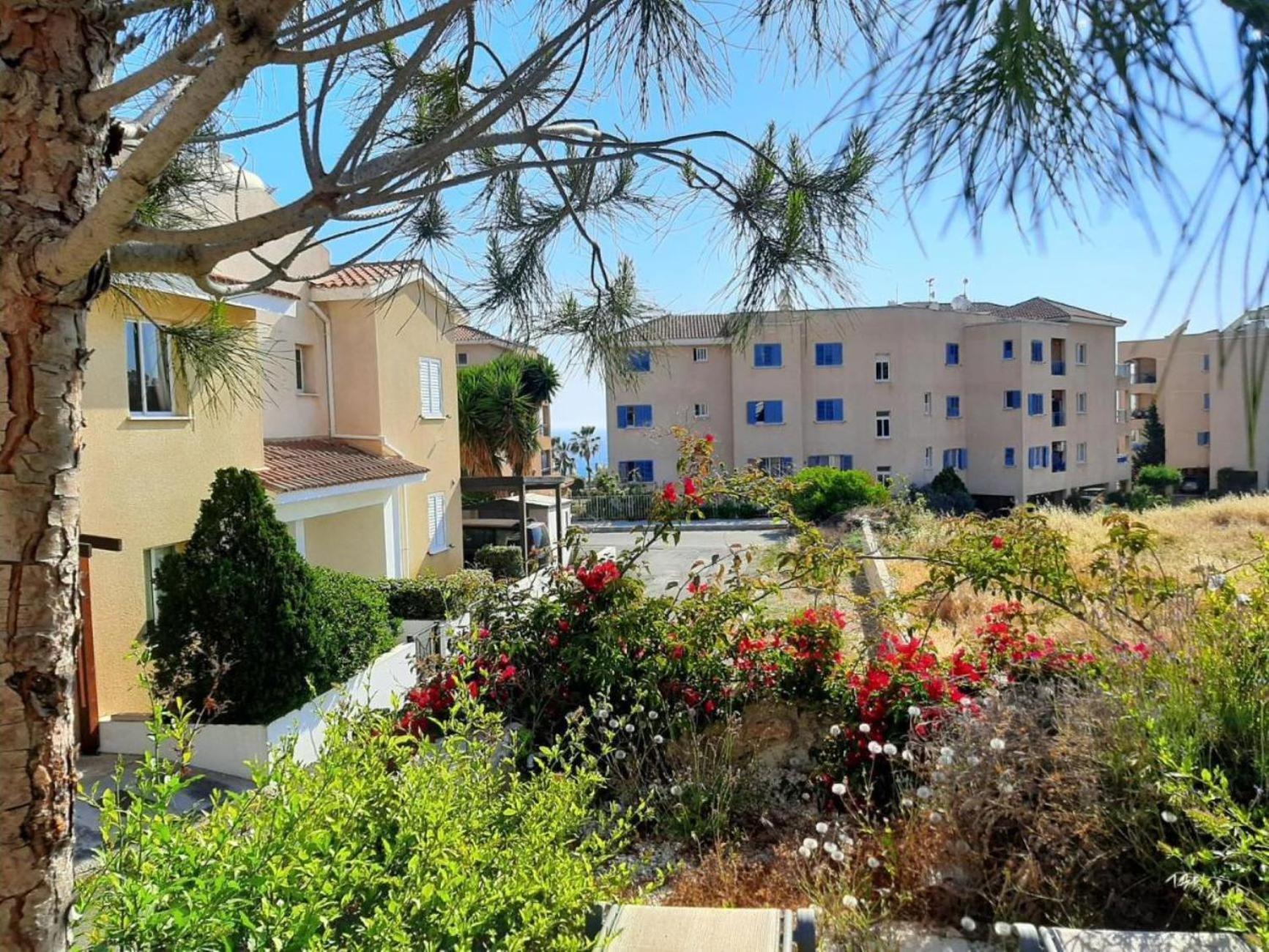 H&O Danaos Sea Breeze Apartment Paphos Exteriör bild